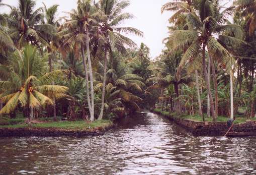 Croisire sur les Backwaters  Kumarakom