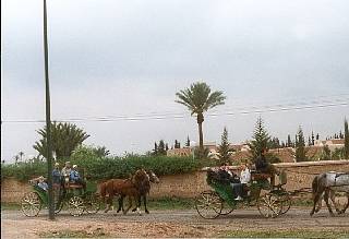 Marrakech, ballade en calche