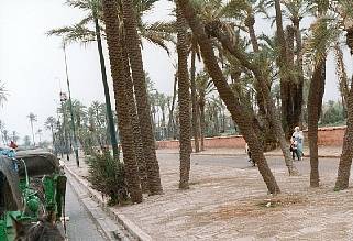 Marrakech, ballade en calche