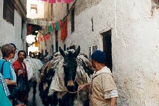 Fes, Les Souks