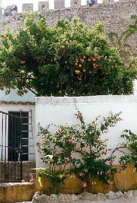 Obidos