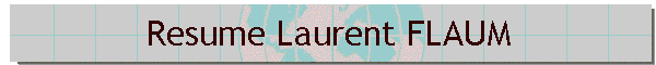 Resume Laurent FLAUM